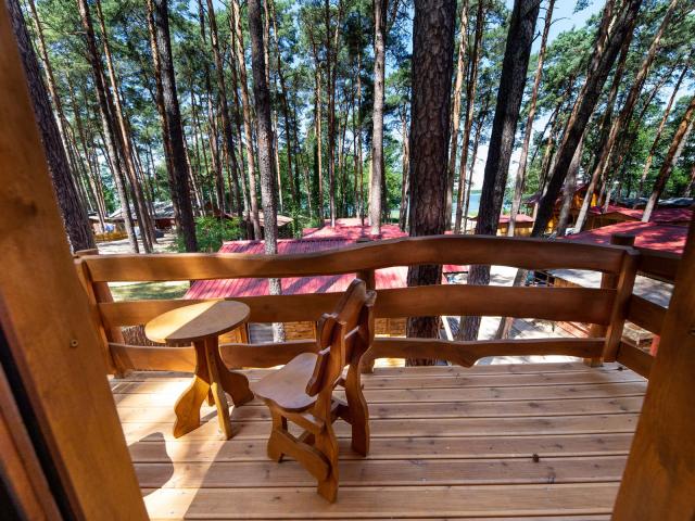 7 Domek Shrek Taras Gora